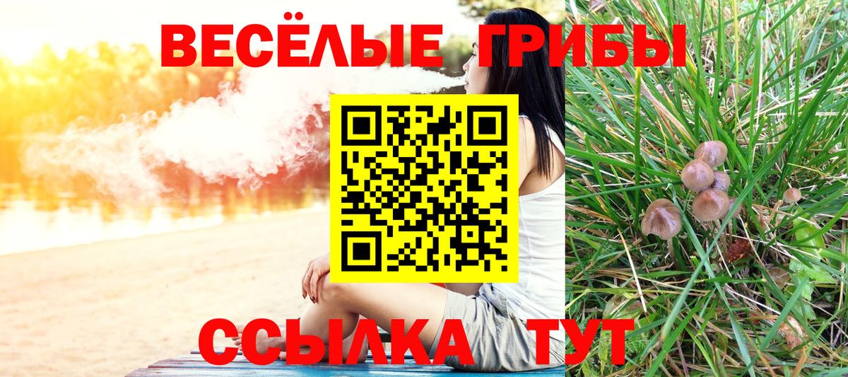Новошахтинск  Псилоцибиновые грибы мицелий  Вход с VPN 